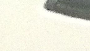 Una mujer habría amamantado a su gato durante un vuelo de Delta Airlines-GettyImages-1211028385.jpg