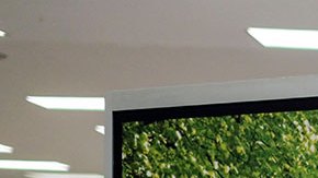 EE.UU. pide a ciudadanos reconsiderar su viaje a México por la COVID-19.