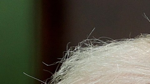 Donald Trump y la Dra. Deborah Birx