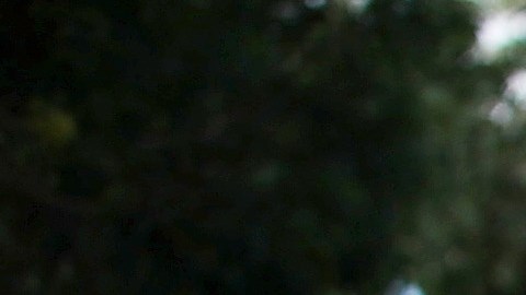 Dos niños mueren y varios más quedan heridos en accidente con un castillo inflable en Australia