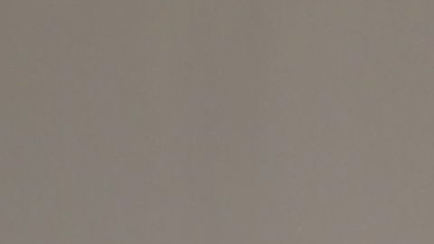 Donald Trump y Benjamin Netanyahu.