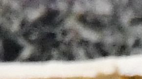 El patriarca Bartolomeo, a un lado del papa Francisco.