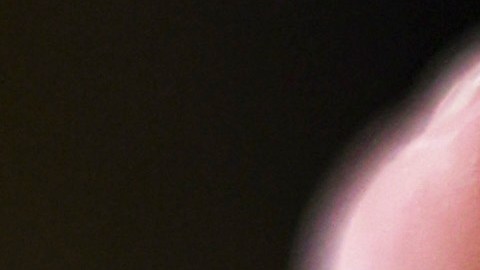 COVID: Asesores de CDC recomiendan las vacunas Pfizer y Moderna sobre J&J