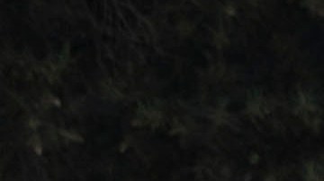 Manifestaciones en contra de la gestión de Peter Lim en marzo de 2021.