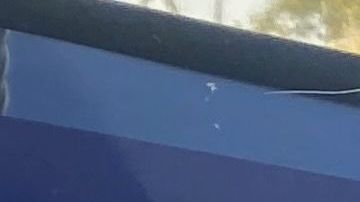 People shop at a grocery store enforcing the wearing of masks in Los Angeles on July 23, 2021. - With the Delta variant pushing US Covid cases back up, fully vaccinated people are wondering whether they need to start masking indoors again. Covid vaccines remain extremely effective against the worst outcomes of the disease -- hospitalization and death -- and breakthrough infections remain uncommon. (Photo by Chris Delmas / AFP) (Photo by CHRIS DELMAS/AFP via Getty Images)