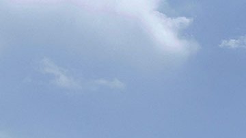 EE.UU. mantiene bajo la lupa a cruceros tras incremento de contagios por Ómicron