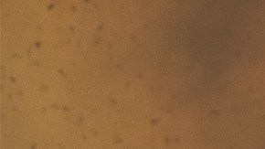 Incendios en Colorado