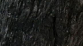 Students walk to their classrooms at a public middle school in Los Angeles, California, September 10, 2021. - Children aged 12 or over who attend public schools in Los Angeles will have to be fully vaccinated against Covid-19 by the start of next year, city education chiefs said September 9, 2021, the first such requirement by a major education board in the United States. (Photo by Robyn Beck / AFP) (Photo by ROBYN BECK/AFP via Getty Images)