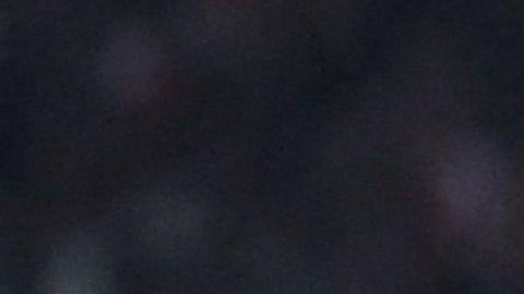 Edson Álvarez