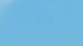 Muere de coronavirus Marcus Lamb, el locutor cristiano que criticaba las vacunas contra el Covid-19