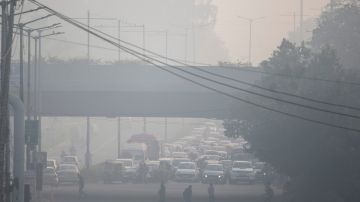 Contaminación en Nueva Delhi, India.