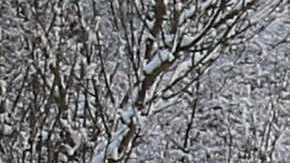 Tormenta invernal deja a 30,000 personas a oscuras en Inglaterra y Escocia