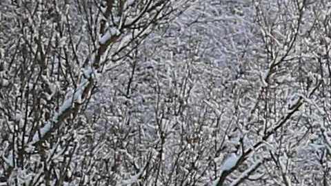 Tormenta invernal deja a 30,000 personas a oscuras en Inglaterra y Escocia