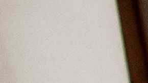 El stegouros elengassen medía casi seis pies, pero en altura apenas alcanzaba el muslo de los humanos.