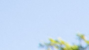 Madre latina acusada de asesinar a sus 3 hijos pequeños antes de intentar suicidarse