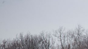 Portavoz de fábrica de velas de Kentucky dice que son 8 los muertos tras el paso de tornados