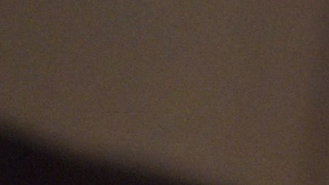 El presidente de Nicaragua, Daniel Ortega.