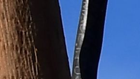 A driver passes a Covid-19 drive-thru testing site in Alhambra, California on December 20, 2021. - The Los Angeles County Department of Public Health reported over 3,500 new Covid-19 cases on December 19. (Photo by Frederic J. BROWN / AFP) (Photo by FREDERIC J. BROWN/AFP via Getty Images)