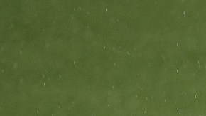 Andy Polo será una de las ausencias en el conjunto de Portland.