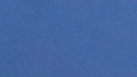 La causa de muerte fue un traumatismo craneoencefálico severo.