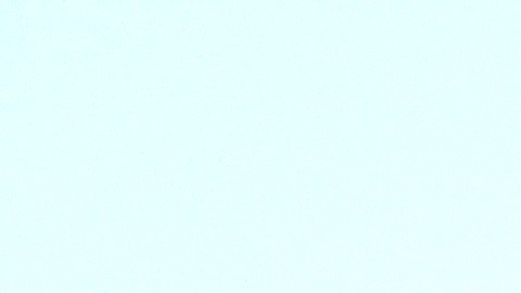 Empleada de Costco se vuelve viral al anunciar su salario y su ocupación en la tienda.