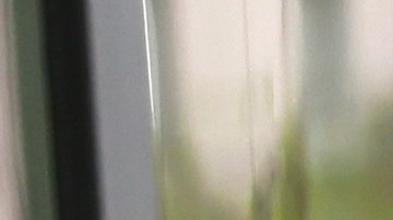 Chipotle lanzó una barra de jabón con cilantro, pero se agotó rapidamente-GettyImages-1315209335.jpg