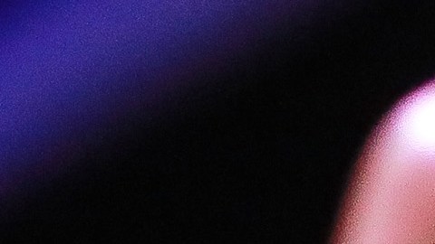 Julio César Chávez Jr.