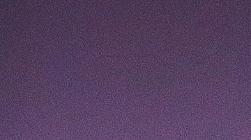 Julio César Chávez Jr.