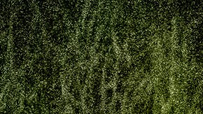 Inmigrantes indocumentados en Texas.