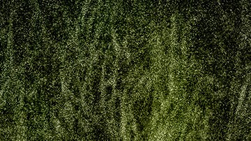 Inmigrantes indocumentados en Texas.