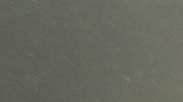 Hay en marcha un plan para preservar a los manatíes de Florida.