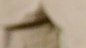 La encuesta fue realizada por la firma de Morning Consult.