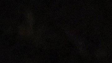 Árbol Nacional de Navidad