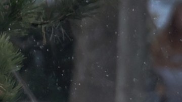 Las autoridades escolares están en el ojo del huracán.