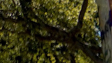 En noviembre las empresas en Estados Unidos crearon 210,000 puestos de trabajo-GettyImages-13570019161.jpg