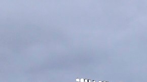 Aún no se tiene certeza de cúales podrían ser los estadios que alberguen los encuentros.