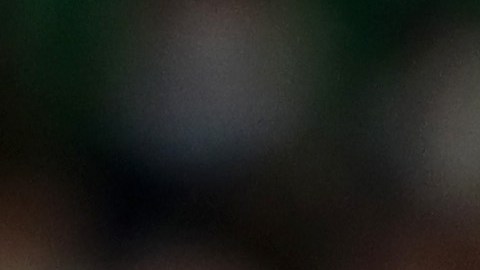 Diego Lainez