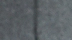 Así sería la verdadera casa a la que se mudó Elon Musk tras deshacerse de sus mansiones