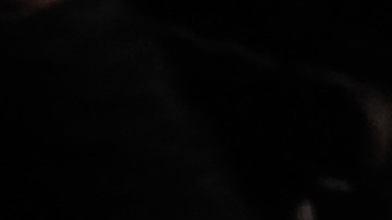 Ómicron deja sin vacaciones de Año Nuevo a la Policía de Nueva York