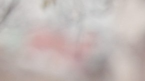 Pruebas gratuitas de Covid-19