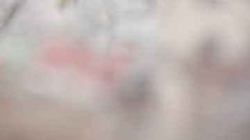 Pruebas gratuitas de Covid-19