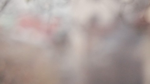 Pruebas gratuitas de Covid-19