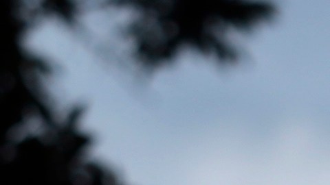 México registró más de 2,000 asesinatos de menores de enero a octubre