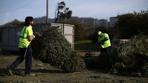 Conoce cómo reciclar en Los Ángeles tu árbol de Navidad ahora que ya pasó la Navidad