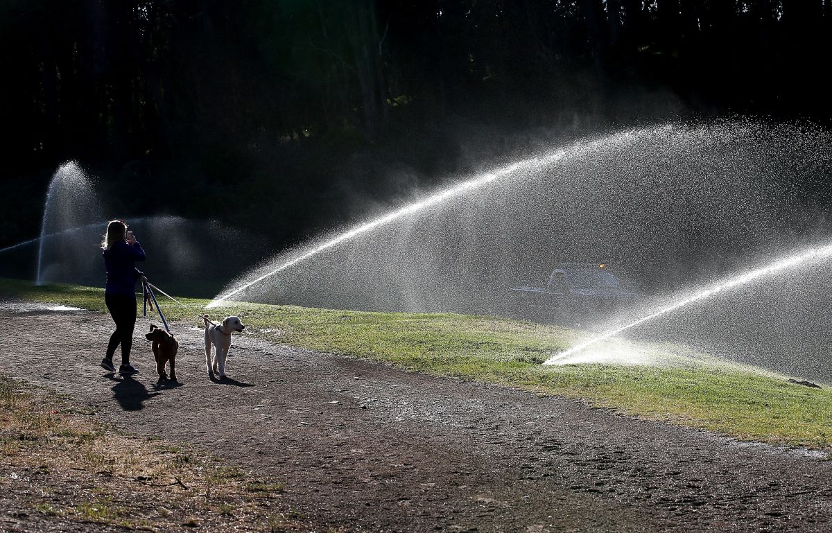 Authorities ask residents of the city of Los Angeles to urgently reduce water use