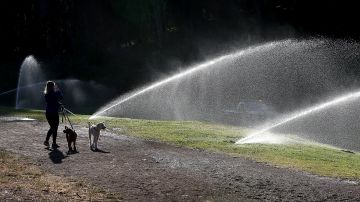 SAN FRANCISCO, CA - APRIL 02: A pedestrian walks her dogs by sprinklers watering the lawn in Golden Gate Park on April 2, 2015 in San Francisco, California. As California enters its fourth year of severe drought and the state's snowpack is at record lows, California Gov. Jerry Brown has ordered a statewide 25 percent mandatory water useage reduction for residents and businesses. Significant cuts in use will be imposed on cemeteries, golf courses and facilities with large landscapes. (Photo by Justin Sullivan/Getty Images)