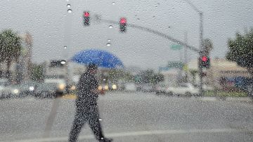 A man crosses a street during a steady rainfall on September 15, 2015 in Los Angeles, California, as a low-pressure system filled with moisture from a former tropical cyclone unleashed heavy rain. At least eight people were pulled into rain-swollen San Gabriel River Tuesday as a storm drenched Southern California, flooding freeways and knocking out power. AFP PHOTO /FREDERIC J.BROWN (Photo credit should read FREDERIC J. BROWN/AFP via Getty Images)