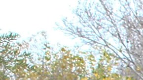 Cars drive over a road flooded by the San Diego River after heavy rains in San Diego, California on January 7, 2016. The first major El Nino storm of the season battered southern California this week, bringing heavy rain to the drought-stricken region and causing flooding and mudslides in some areas. Several El Nino storms are expected to hit California in the coming weeks, but experts warn that the rainfall will not be enough to help the region recover from a historic drought. AFP PHOTO/ BILL WECHTER / AFP / Bill Wechter (Photo credit should read BILL WECHTER/AFP via Getty Images)