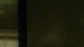 VIDEO: Alcalde al norte de México se electrocuta al encender árbol de navidad