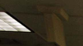 Fechas límites para enviar tus paquetes de Navidad por el USPS